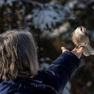 Meet your Posher, Rose